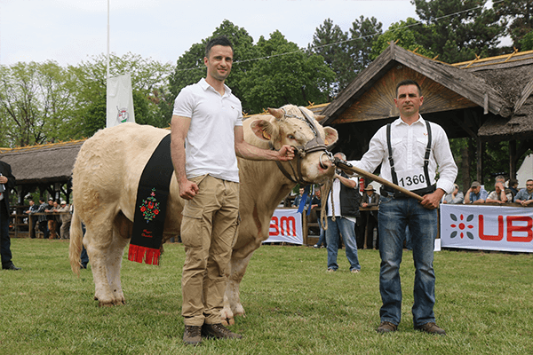 NPK Charolais Farm